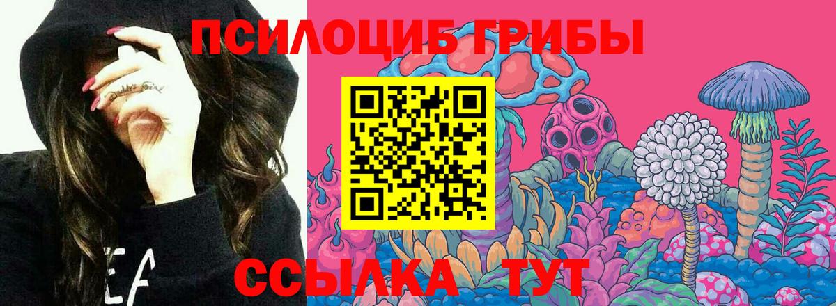 Галлюциногенные грибы Psilocybine cubensis Похвистнево